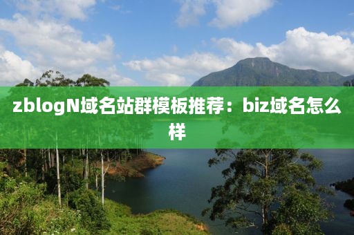 zblogN域名站群模板推荐：biz域名怎么样