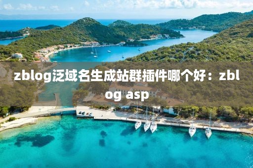 zblog泛域名生成站群插件哪个好：zblog asp